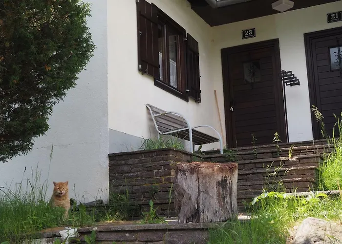 Dom wakacyjny Ahornweg *